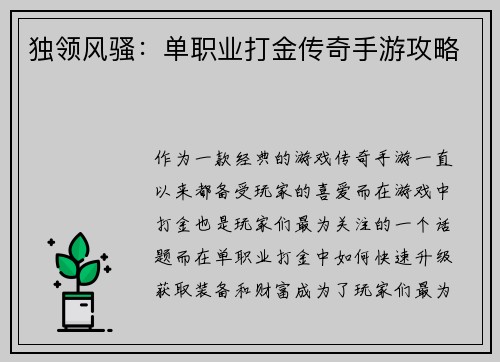 独领风骚：单职业打金传奇手游攻略