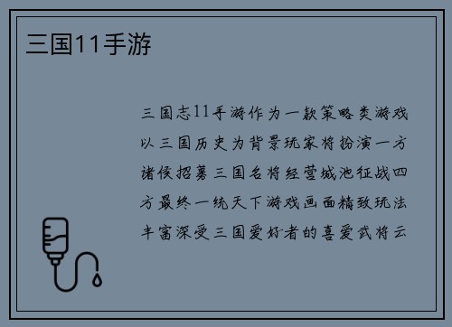三国11手游